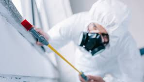 Best Pest Prevention Services  in Princeton, KY